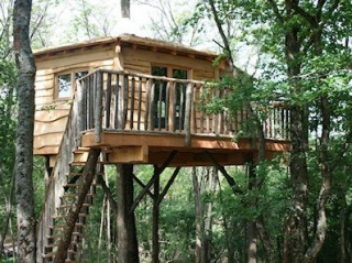  Una casa sull'albero per notti insolite 